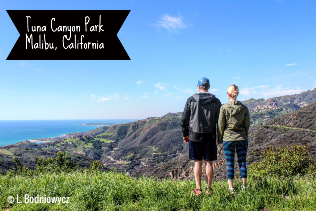 Tuna Canyon Park Look-Out