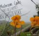 San Diego, Mushroom Caves Hike, Solana Beach