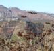 Elfin Forest, San Diego, California Hike