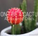 Don't be prickly like a cactus. Internet trolls are not cool.