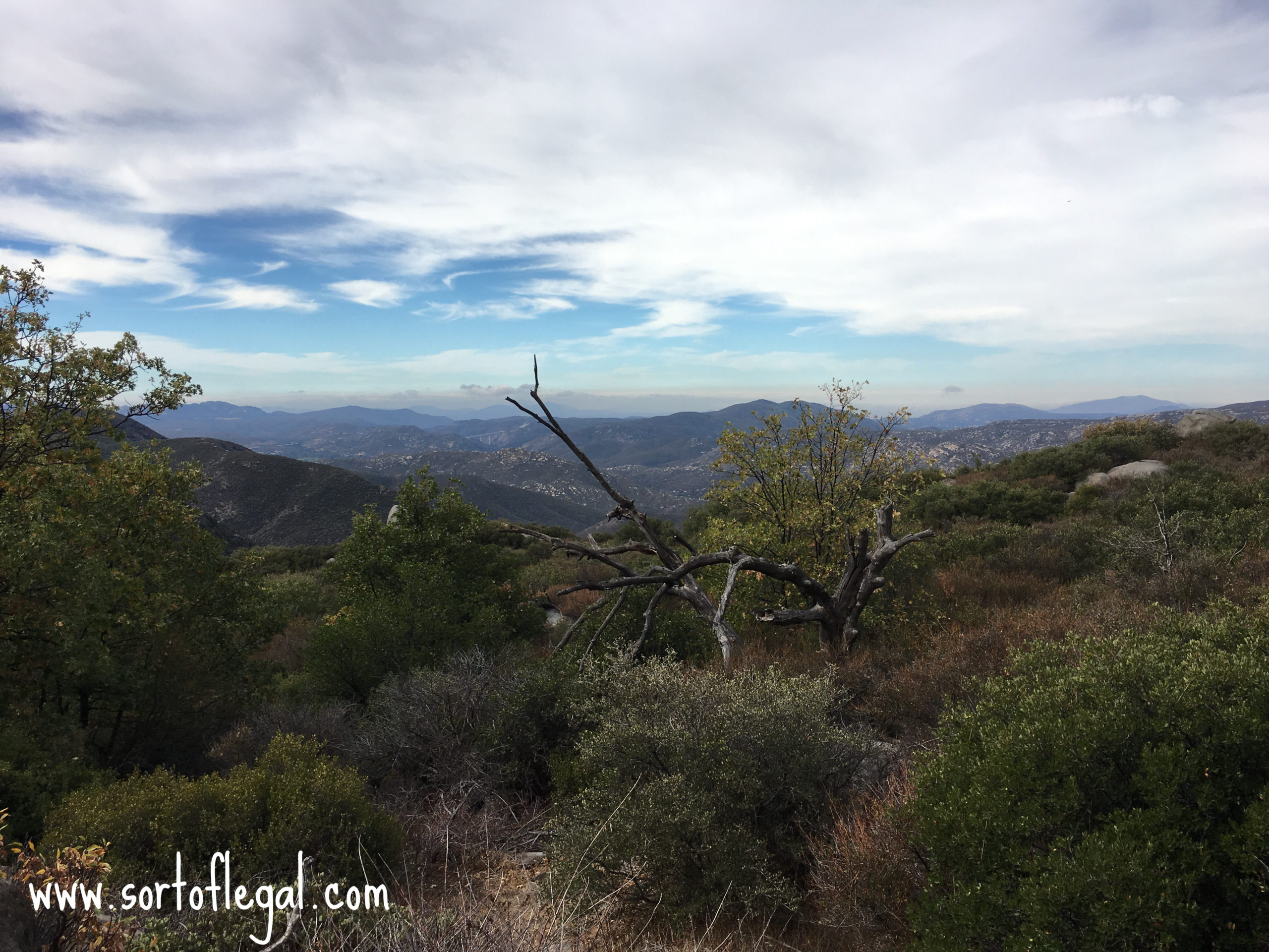 Sunset Trail / Laguna Meadow, Mount Laguna, Cleveland National Forest, San Diego, California Hike