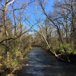 Creek at McCabe Loop Trail, Richland Creek Greenway, Nashville, TN