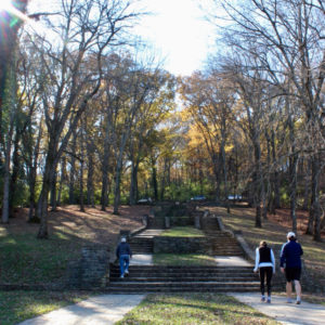 Belle Meade Steps at Percy Warner, Nashville, TN