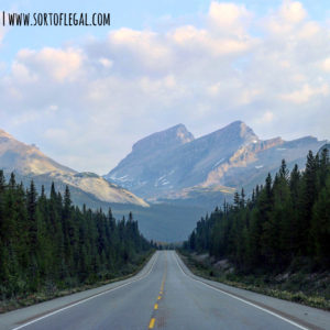 Icefields Parkway, the glorious road to many hikes in Banff, Canda