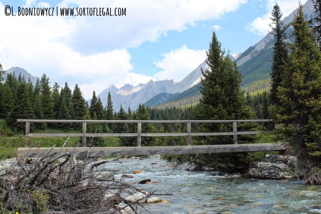 Bridge and creek near the Inkpots, Banff, Canada