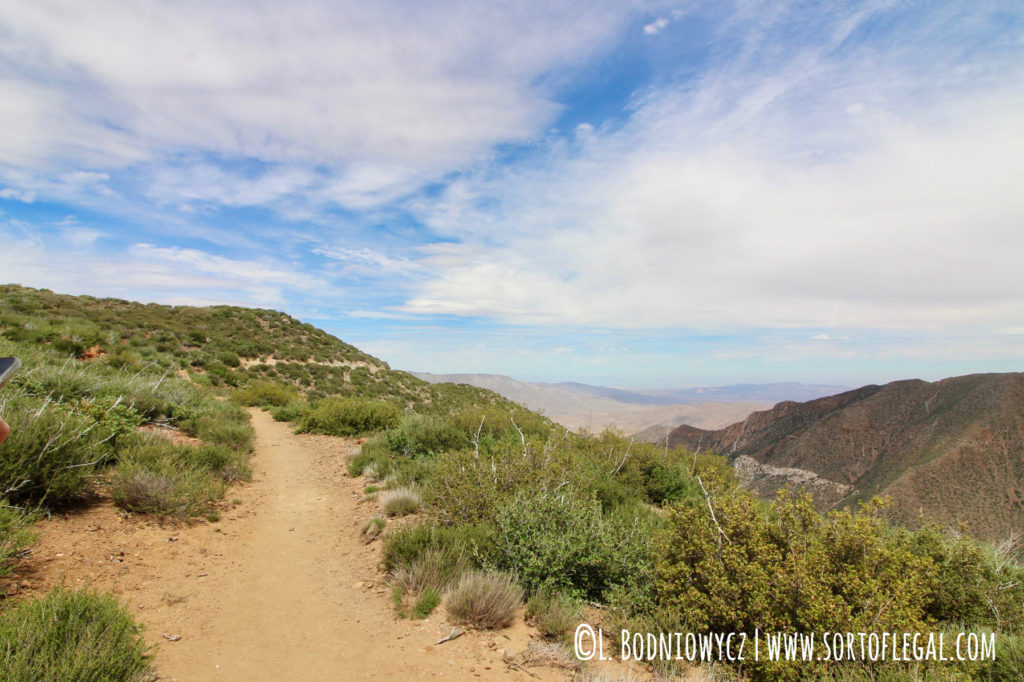 PCT en route to Garnet Peak Trail, Laguna Mountain Area, Cleveland National Forest