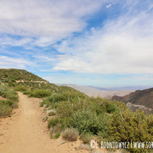 PCT en route to Garnet Peak Trail, Laguna Mountain Area, Cleveland National Forest