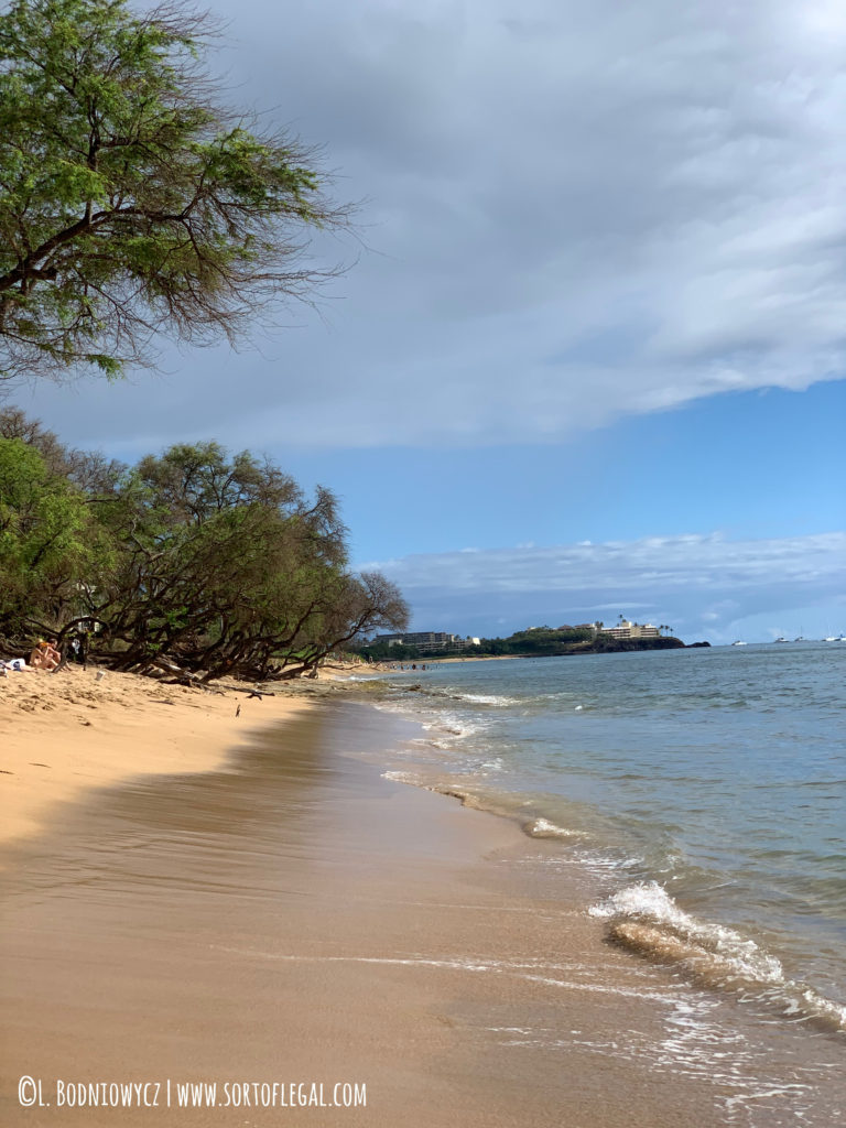 Snorkeling Spot in Kanapaali Beach, Maui, Hawaii