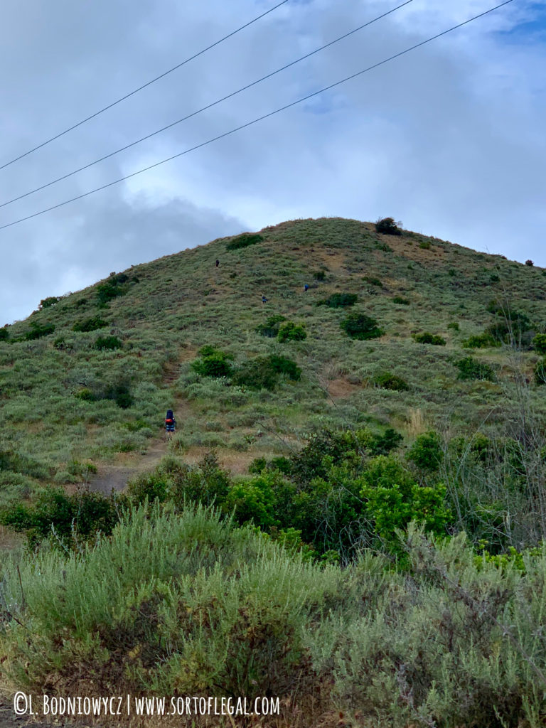 Uphill Climb En Route to BlackJack Campground, Trans Catalina Trail Thru Hike