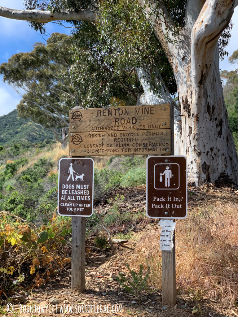 Trans-Catalina Trail Day 1: Avalon to BlackJack - Start of the Old TCT Trail