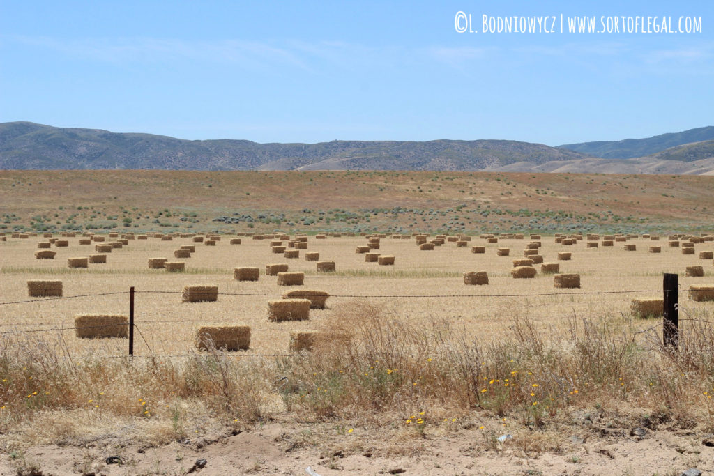 California Hay Barrels, Female Solo Road Trip