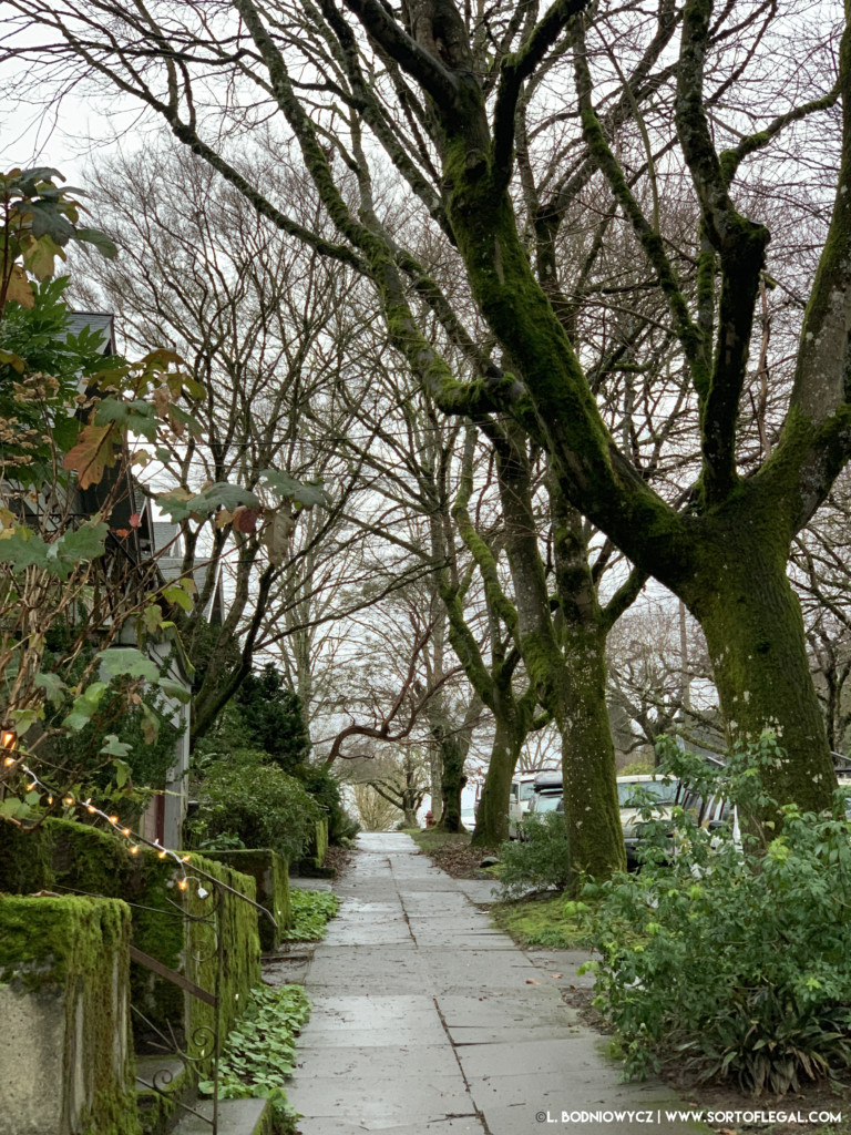 Wet sidewalk in Southeast Portland