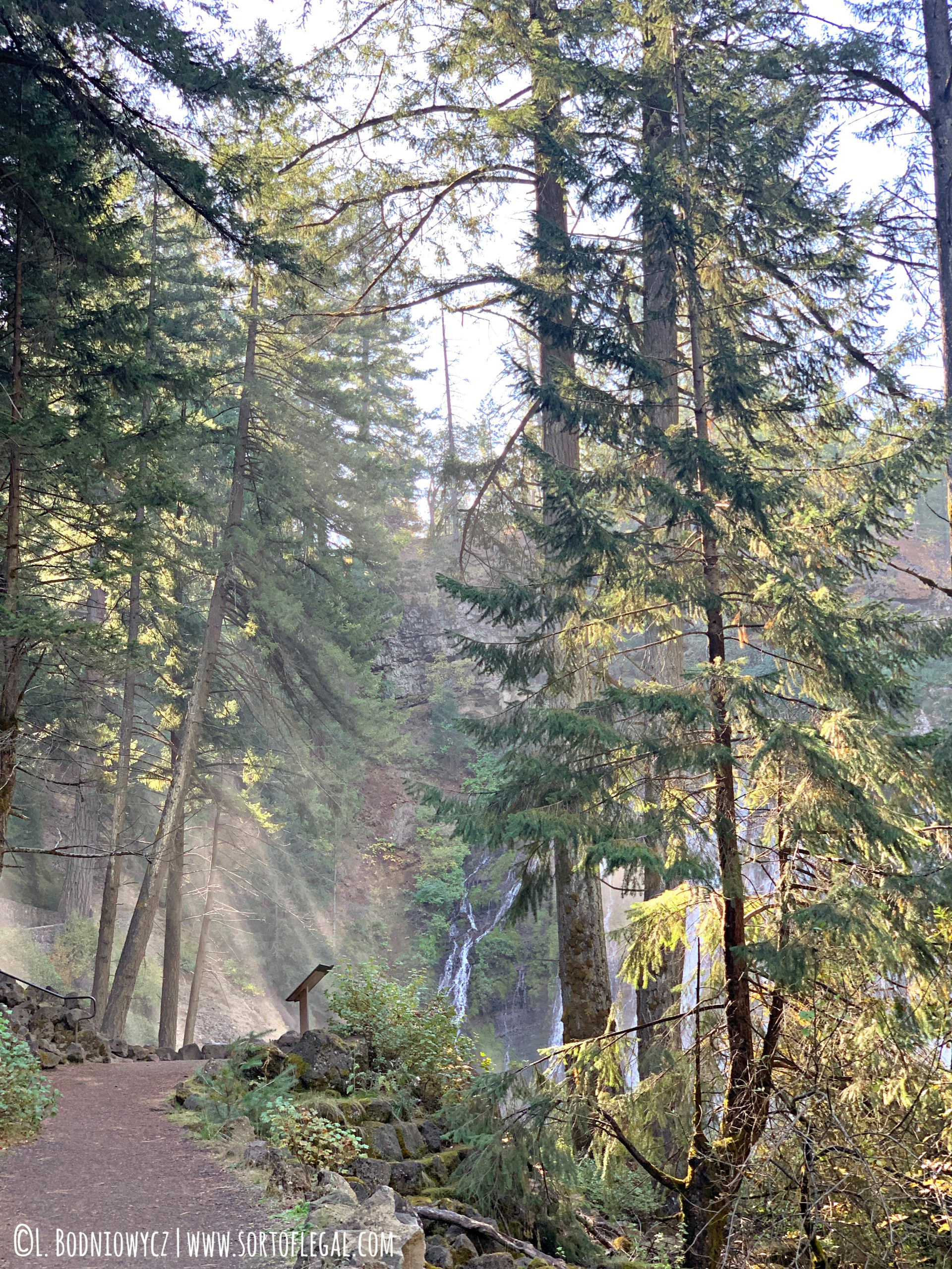 Path to McArthur Burney Falls, California