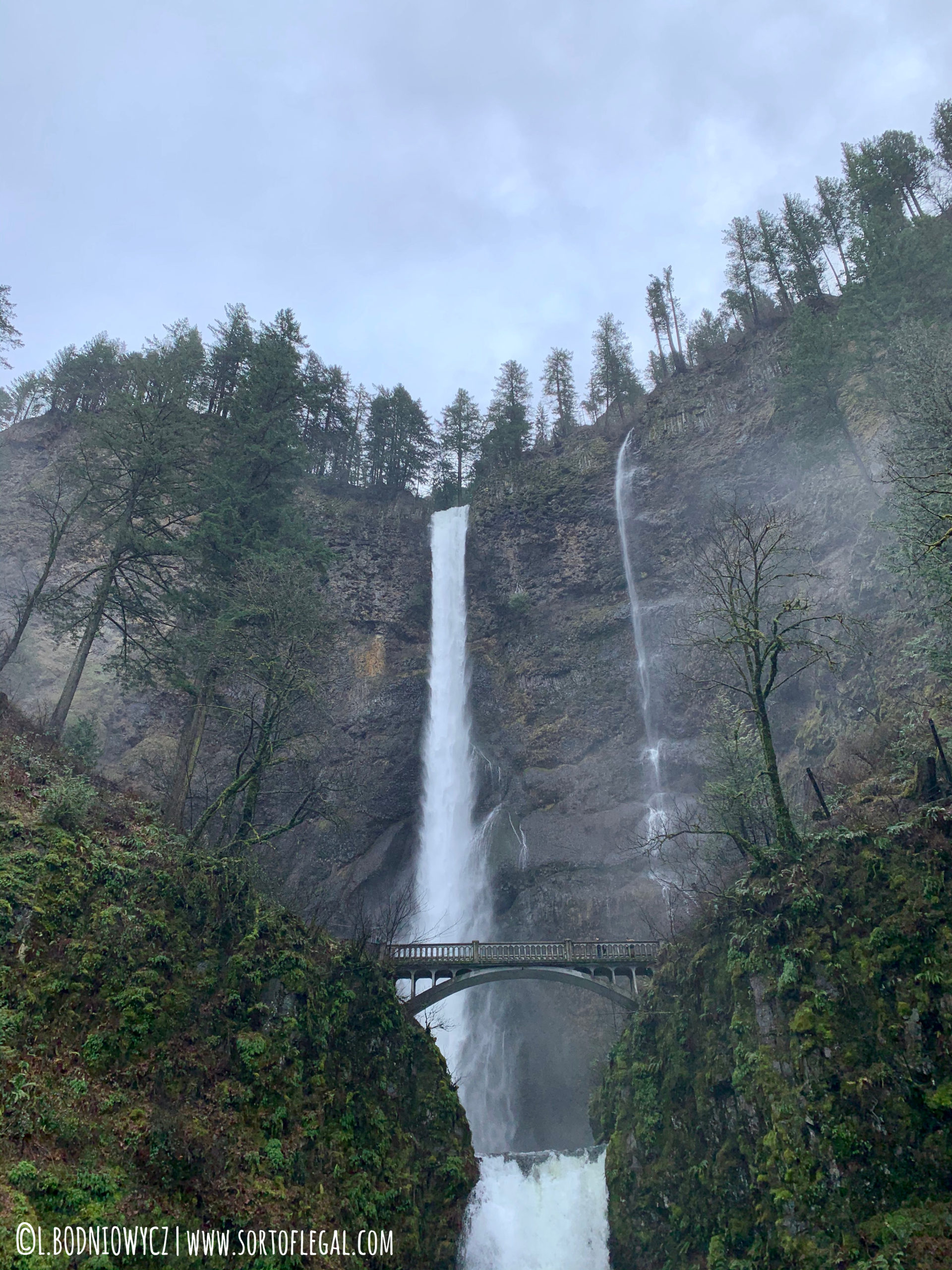 Multnomah Falls, Oregon in Winter