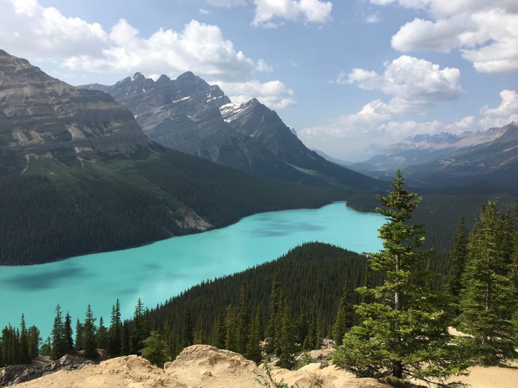 Peyto Lake, Banff, Canada - Really Teal Lake